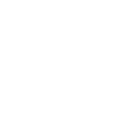 Internal icon